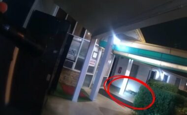 Aligatori dy metërsh tmerron pushuesit në një hotel në Virxhinia