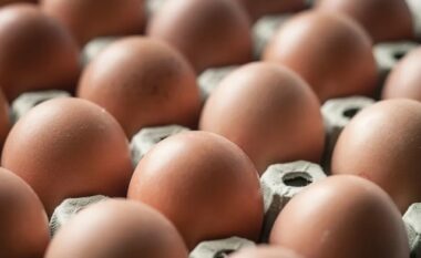 Dhjetëra njerëz të sëmurë nga salmonela, 1.7 milion vezë tërhiqen nga tregu në shtatë shtete të SHBA-së