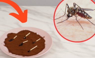 Mbani larg mushkonjat këtë verë duke përdorur metodën me kafe