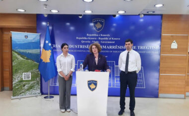 MINT lansoi skemën e re të granteve prej 1 milion euro për ndërmarrjet në sektorin e TIK-ut
