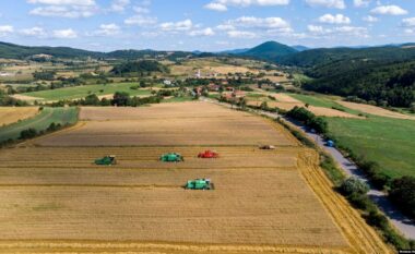 “Grurin tonë s’e duan”: Fermerët e Kosovës thonë se Serbia mbush tregun me grurë të vjetër