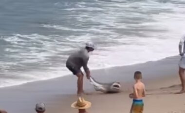 Burri nga SHBA kapi një peshkaqen dhe tentoi ta rikthej në ujë – e kafshon derisa po e largonte nga rëra 