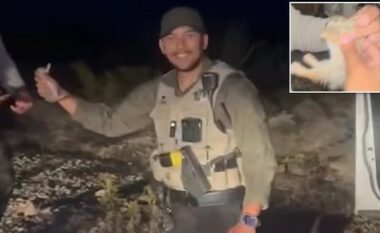 Moment i neveritshëm, polici në New Mexico e përplas lepurin për veture zyrtare – kolegët e tij dëgjohen duke qeshur  