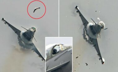 Aeroplani luftarak i forcave spanjolle Eurofighter që kushton 85 milionë dollarë godet pulëbardhën gjatë fluturimit – piloti shpëton pa lëndime