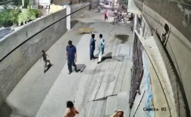 Luani ikën nga një shtëpi në Pakistan, sulmon një grua dhe fëmijët e saj – arrestohen pronarët e kafshës së egër