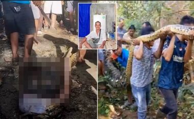 Doli për të ushqyer pulat, pitoni 8-metërsh gëlltit indonezianin – autoritetet e gjejnë të vdekur në barkun e gjarprit