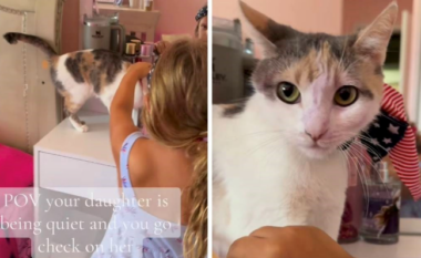 Momenti epik kur nëna zbulon vajzën duke grimuar macen – videoja “thyen” rrjetin me mbi 4.1 milionë shikime