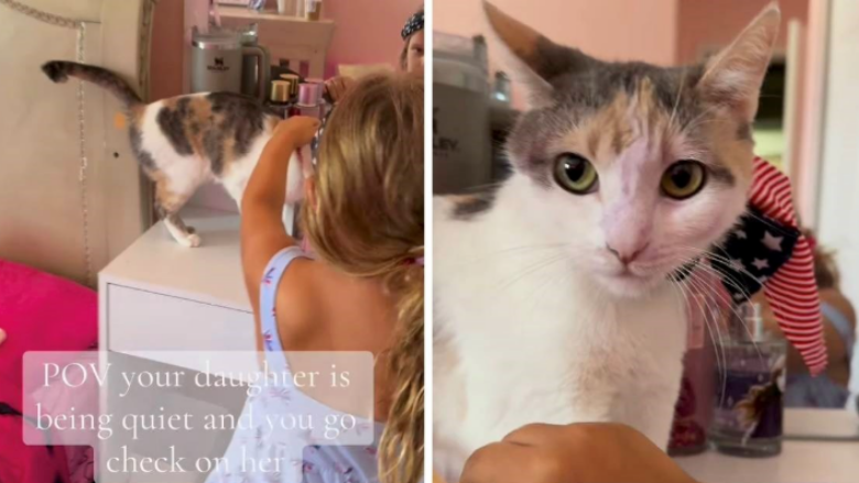 Momenti epik kur nëna zbulon vajzën duke grimuar macen – videoja “thyen” rrjetin me mbi 4.1 milionë shikime