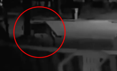 Luan malor në mes të New Yorkut? Alarmohen banorët pas publikimit të një videoje