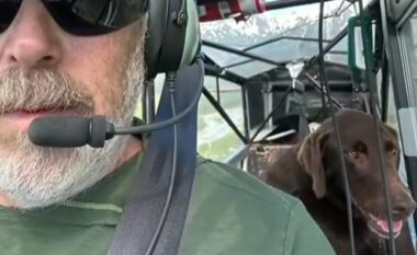Qeni i humbur në natyrën e egër të Alaskës gjendet nga një “pilot vullnetar”, nëntë ditë më vonë