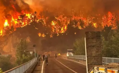 Tragjedi në Turqi, zjarri u merr jetën 11 rojeve të pyjeve