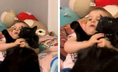 Momenti viral: Macja e zezë dhe vajza që nuk e lëshonin njëri-tjetrin