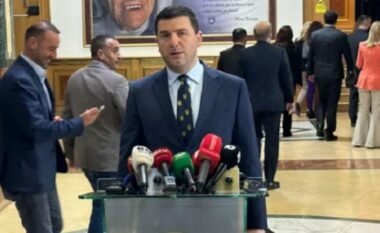 Masa e përkohshme, Krasniqi: Kushtetuesja kishte një arsye që nuk mund ta paragjykoj unë