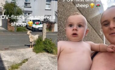 Takimi i parë me delen, reagimi i bebes bëhet viral