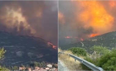 Dy persona digjen në makinë gjatë zjarreve në Qipro, ndërsa priten temperatura deri në 44 gradë Celsius