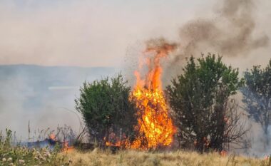 Situatë e rënduar me zjarret në Kosovë, kërkohet ndërhyrja e KFOR-it nga ajri