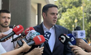 LDK nuk mbështet kandidatë pa marrëveshje, Abdixhiku: VV si ka numrat