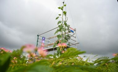 Kopshtari holandez rrit lulediellin më të gjatë botë