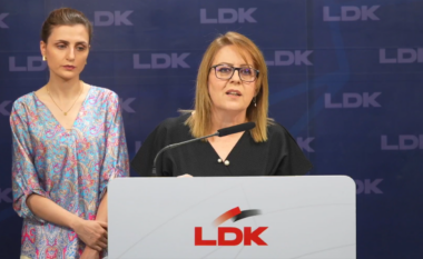 LDK: Shkyçja e bizneseve nga energjia elektrike është persekutim