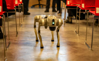 Hong Kongu do të përdorë qen robotë për të luftuar virusin që përhapet nga mushkonjat