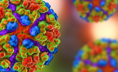 Çfarë është virusi ‘chikungunya’ nga i cili janë infektuar mijëra njerëz në Kinë?