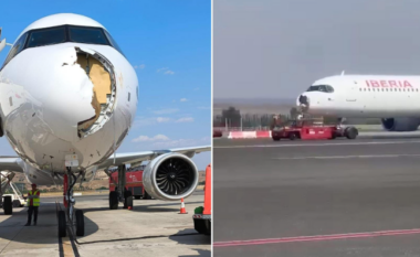 Përplasja me zogun dëmton aeroplanin, detyrohet të bëjë ulje emergjente në Madrid