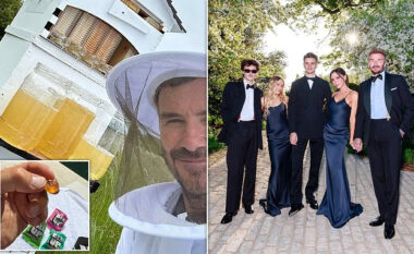 David Beckham thuhet se po e largon mendjen nga grindjet familjare, duke u marrë me pasionin e tij – bletarinë
