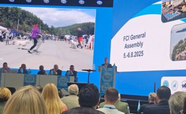 Kosova hyn në elitën botërore të qenve – Federata Kinologjike pranohet nga FCI